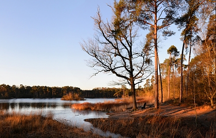 groot goorven oisterwijk 2-2018 1317